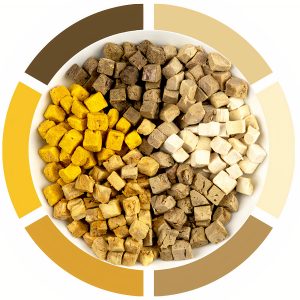 Bánh thưởng cho mèo thịt thật CATIDEA Fairy Chef Freeze Dried Raw 6in1