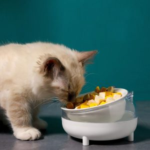 Bát ăn cho chó mèo PAW The Body Meow Bowl