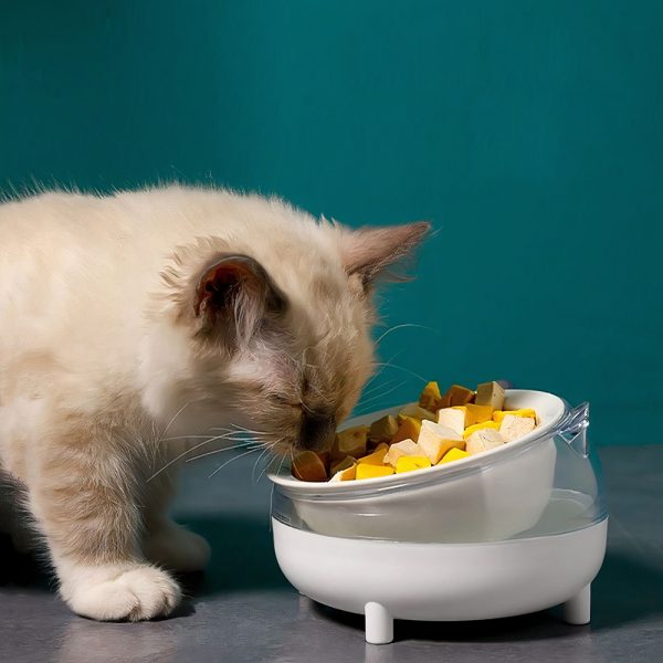 Bát ăn cho chó mèo PAW The Body Meow Bowl
