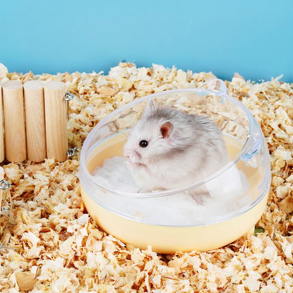 Bát ăn cho chó mèo PAW The Body Meow Bowl