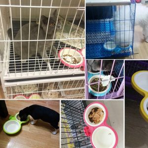 Bát ăn đôi cho chó mèo gài chuồng bằng nhựa SAWYER PET