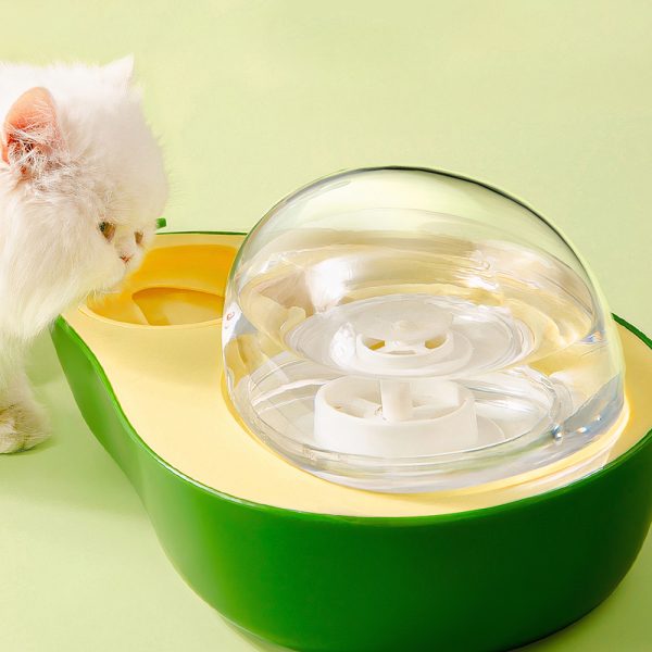Bát uống nước cho chó mèo hình quả bơ có nắp đậy PAW Avocado Pet Water Bowl