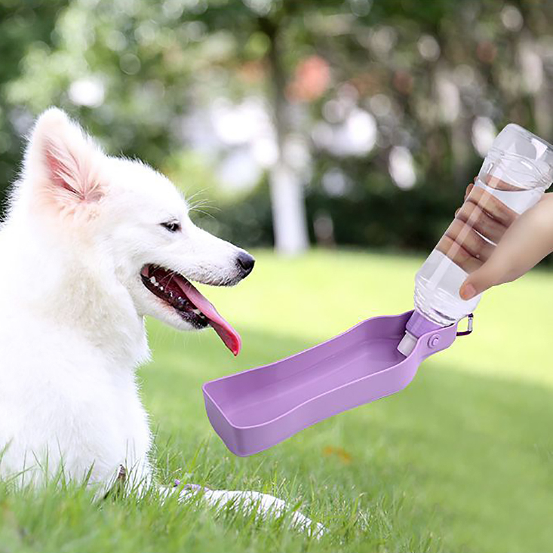 Bình uống nước đi dạo BOBO cho chó mèo