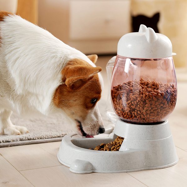Bộ bát ăn bình nước tự động cho chó mèo PAW Cat Head Food Water Feeder
