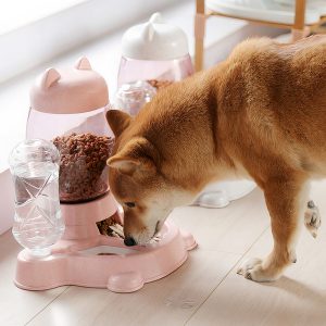 Bộ bát ăn bình nước tự động cho chó mèo PAW Cat Head Food Water Feeder