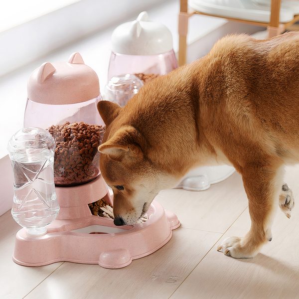 Bộ bát ăn bình nước tự động cho chó mèo PAW Cat Head Food Water Feeder