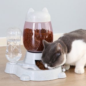 Bộ bát ăn bình nước tự động cho chó mèo PAW Cat Head Food Water Feeder