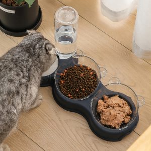 Bộ bát ăn uống cho chó mèo PAW The Meow Head 3in1