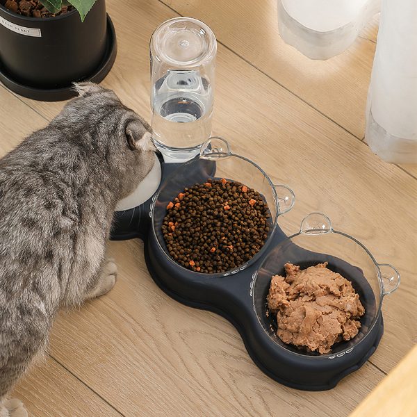 Bộ bát ăn uống cho chó mèo PAW The Meow Head 3in1