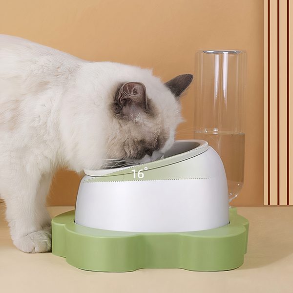 Bộ bát ăn uống cho chó mèo PAW The Panda Bowl