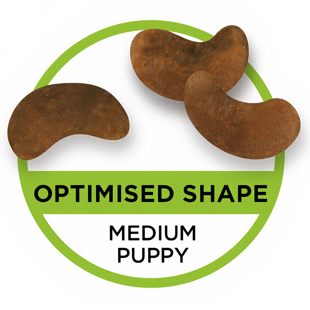 Thức ăn cho chó con PURINA PRO PLAN Medium Puppy