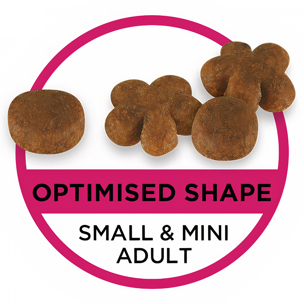 Thức ăn cho chó đẹp lông PURINA PRO PLAN Small & Mini Fussy Beauty 2