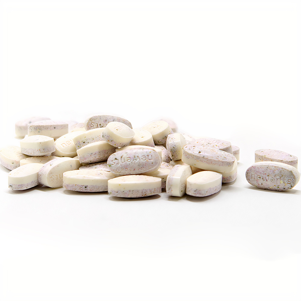 Thuốc bổ sung Vitamin tổng hợp cho chó VEGEBRAND Fruit Vitamin